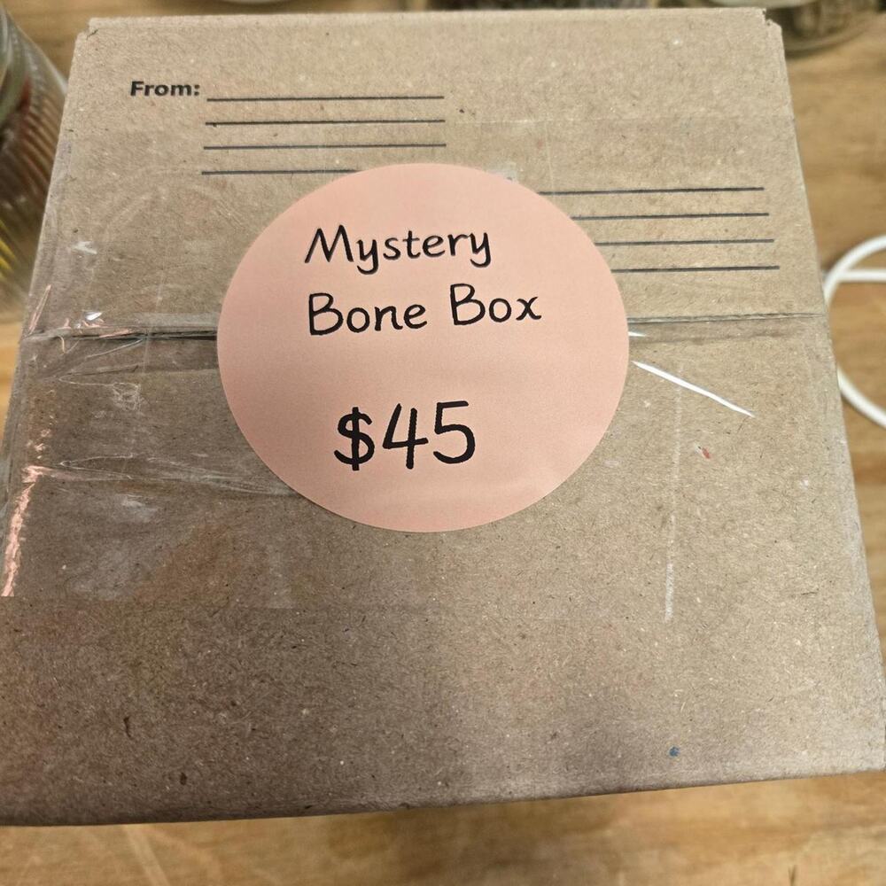 Mystery bone box 45 contains